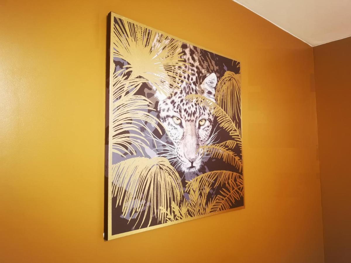 Studio Hyper Centre Safari Tout Equipe Wifi Netflix 2Pers Amiens Ngoại thất bức ảnh